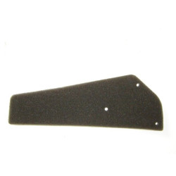 Elemento Filtro Aire (LF110GY-3)