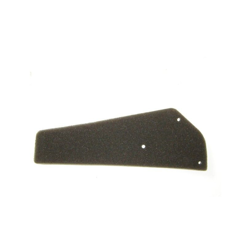 Element Filtre à Air (LF110GY-3)