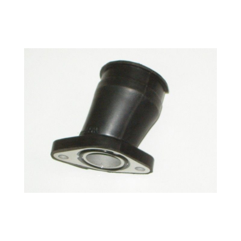Carburetor   (LF250-ST)