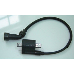 Ignition Coil (LF125T-19)