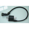 Bobine Allumage (LF125T-19)