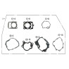 Joints Moteur (Lifan King LF125-14F)