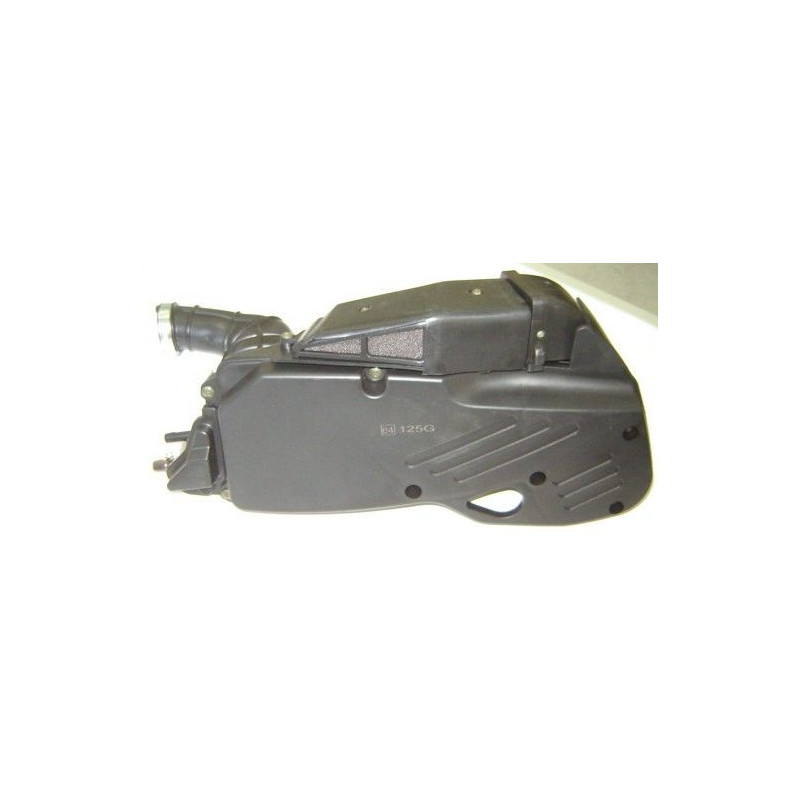 Elemento Filtro Aire (LUNA 125)