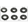 Kit Cojinetes Motor scooter GY6 50cc 4 tps (Lifan S-RAY 50 4t - LN50)