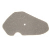 Air Filter Element (Lifan S-Ray 50 2t)
