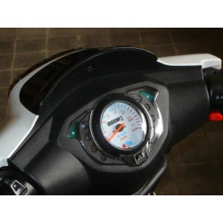 Coque Arrière Droit (Lifan LF125T-9R)