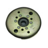 Rotor scooter 50 cc 2t (Lifan S-Ray S-Power 50 2t)