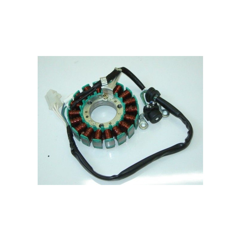 Estator Completo (MT125)