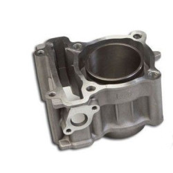 Cilindro /Cylinder Block Comp.