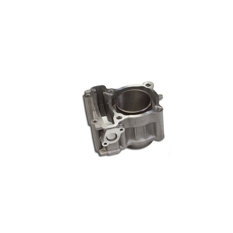 Cilindro /Cylinder Block Comp.