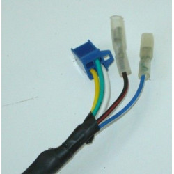 Estator & Rotor Completo (XINGYUE125)