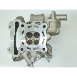Culasse ensemble (LF125T-19)