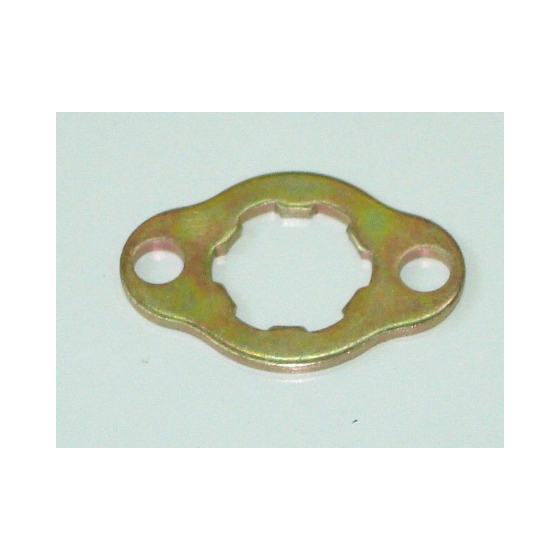 Engine Sprocket Fixing Plate