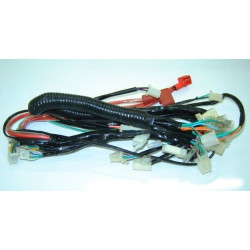 Cableado Eléctrico Principal (MH12)