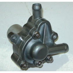 Bomba Agua 244FMI (ST125)