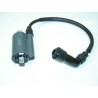 Bobine Allumage (MRQ25)
