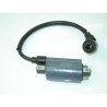 Bobine Allumage (MRQ25)