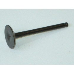 Valve admision (LN125)