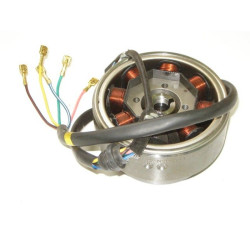 Estator & Rotor Completo (KR125)
