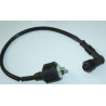 Ignition Coil HT Bicilindrico Lifan 244FMI (CBT125)