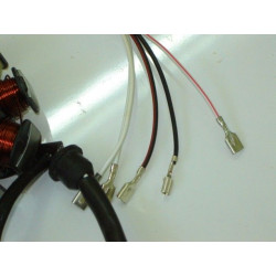 Estator Completo (VR25)