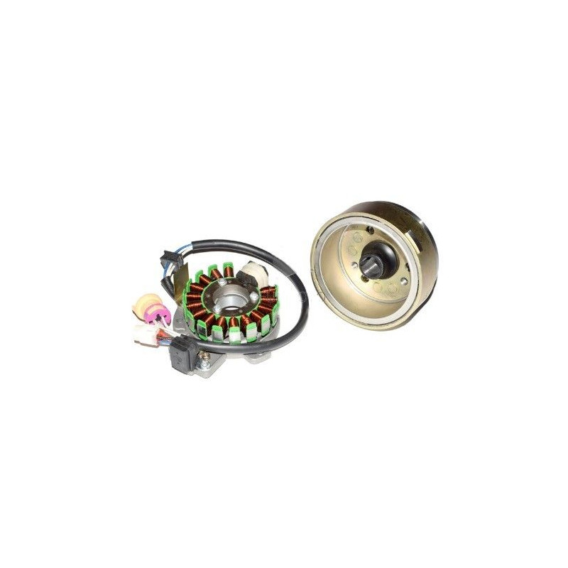 Ignition Unit CDI (JS171FFM) Jianshe JS250 ATV - New Model