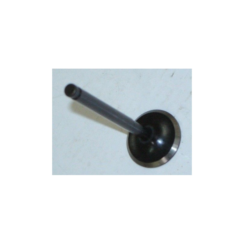 Valve admision (LN125)