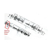Cojinete del Cambio 6304 para motor 244FMI Bicilindrico (Jinlun JL125-11)