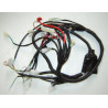 Main Harness Lifan S-Ray 50- 4t (LF50QT-26)