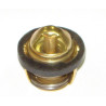 Termostato LIFAN Espace 125 (LF125T-19) YAMAHA X-MAX 125