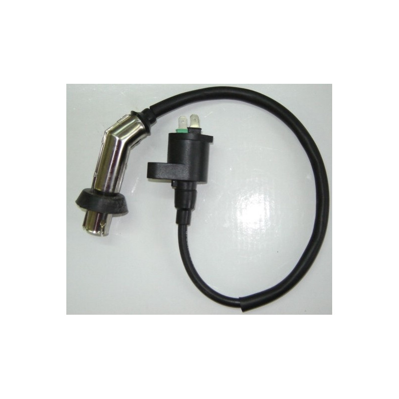 Bobina de Alta / Ignition Coil / Bobine Allumage  (LIFAN Travellier 125 LF125T-9R)