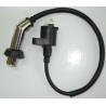 Bobina de Alta / Ignition Coil / Bobine Allumage  (LIFAN Travellier 125 LF125T-9R)