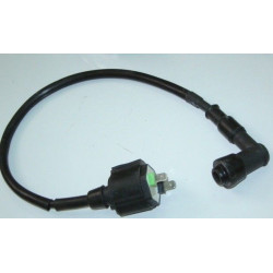 Bobine HT Bicilindrico Lifan 244FMI (CBT125)