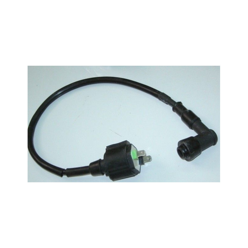 Ignition Coil HT Bicilindrico Lifan 244FMI (CBT125)