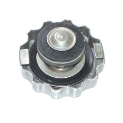 Radiator Cap and Filler Neck 1.1 bar (Lifan E-Space LF125T-19)