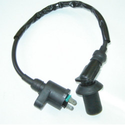 Bobine Allumage (LN 125)