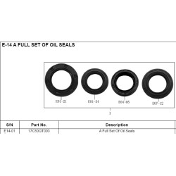 Kit Retenes Motor (MT12) Lifan E-Space 125 (LF125T-19)