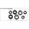 A Full Set of Oil Seals (MT12) Lifan E-Space 125 (LF125T-19)