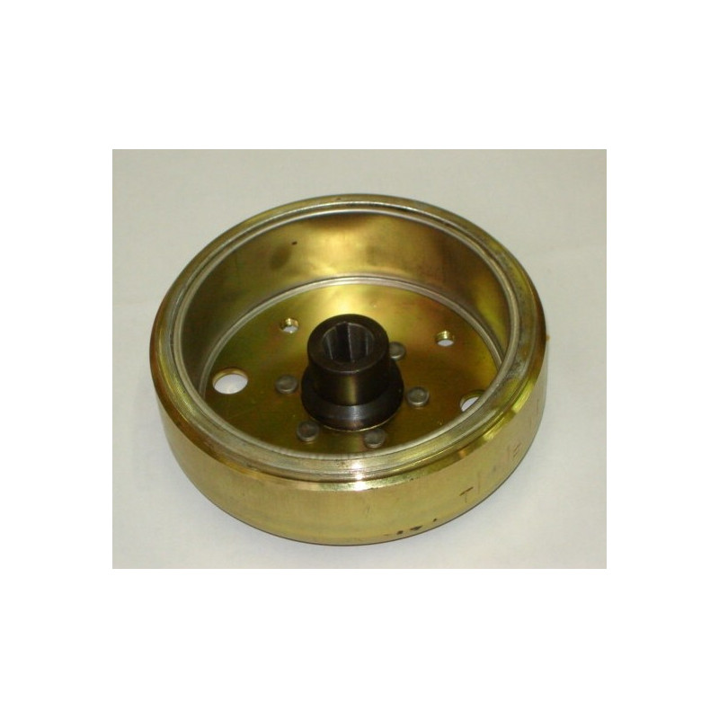 Stator Complet (LN12)  12 Poles ZNEN ZN125T-E, Peugeot SUM UP 125
