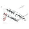 Pignon conduit Demarrage Embrayage CG125 -  156FMI-2 (V-Raptor 125)