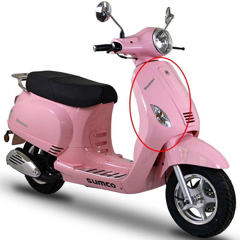 Plastico Escudo Frontal (Rosa) (RM125EFI) ZNEN ZN125T-30A