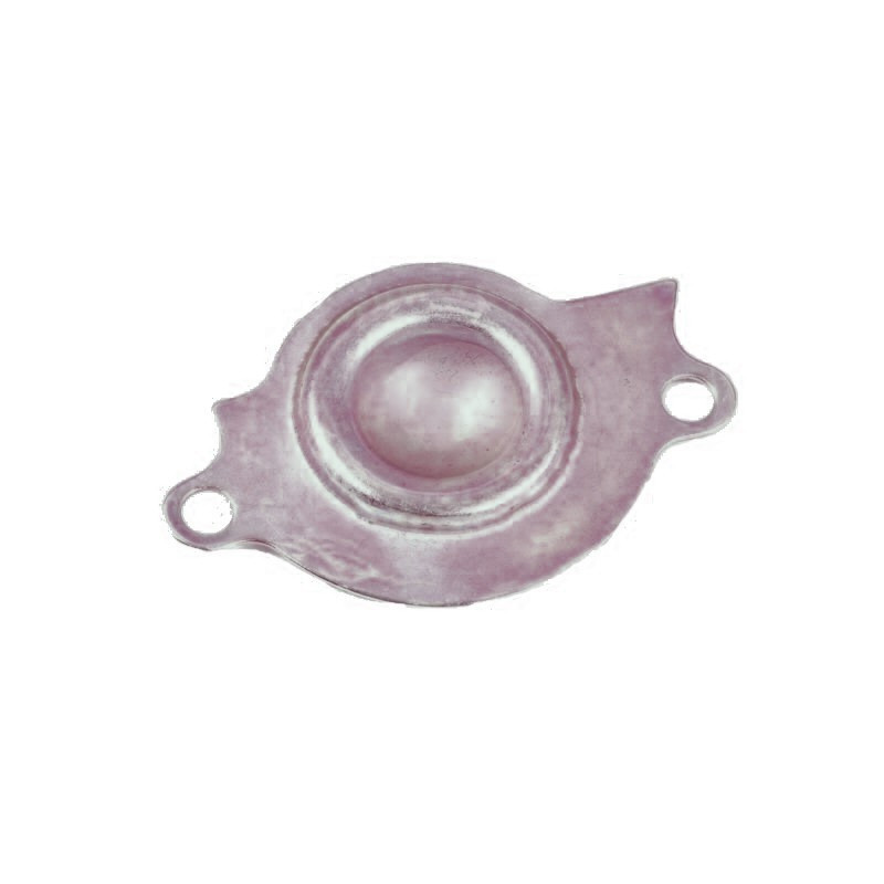 Pletina Bomba Aceite 152QMI GY6 125cc (LN125)