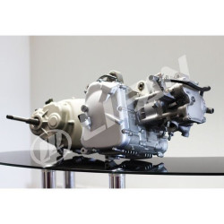 Moteur 125cc 1P52MI-5 (LF125T-19)