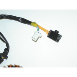 Stator Complet (MT125)