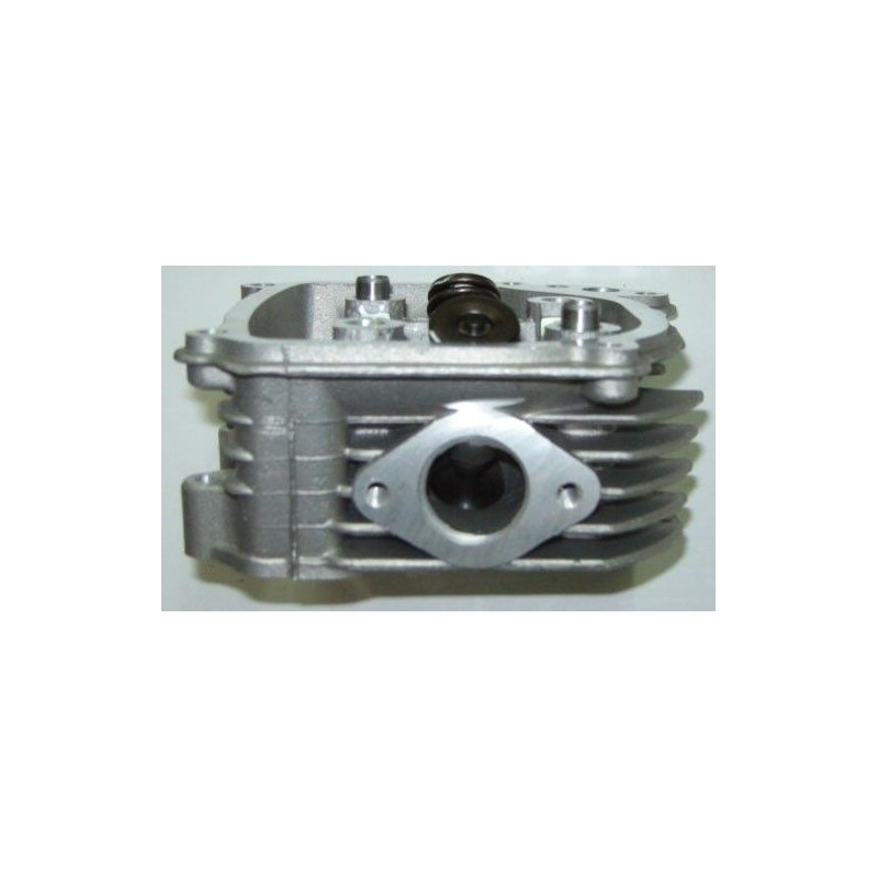 Cilindro Motor 139FMA 50cc (Dingo 50)