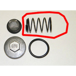 Ressort Filtre a Huile  (LN12) moteur (GY6 -125) 152QMI 1P52QMI