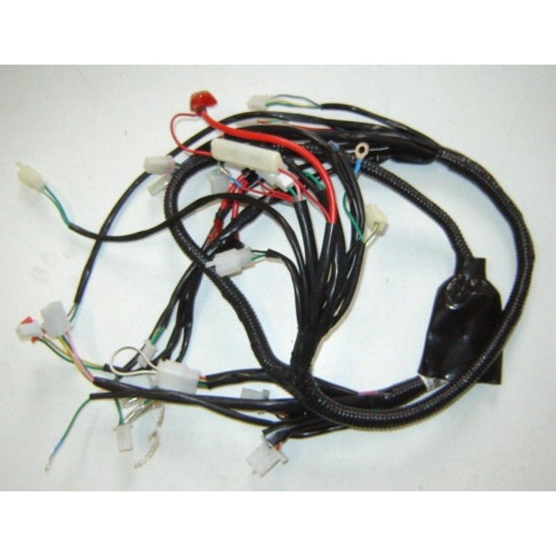 Main Harness Lifan Urban 125 (LF125T-9L)