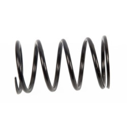 Spring Driven Pulley Assy (Lifan S-RAY 50 4t)