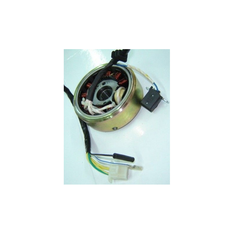 Estator & Rotor Completo (SAIGA SG125-150)