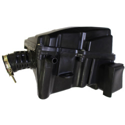 Conjunto Filtro Aire (RK125i EFI)